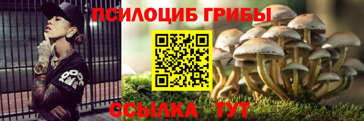 Галлюциногенные грибы прущие грибы Калуга