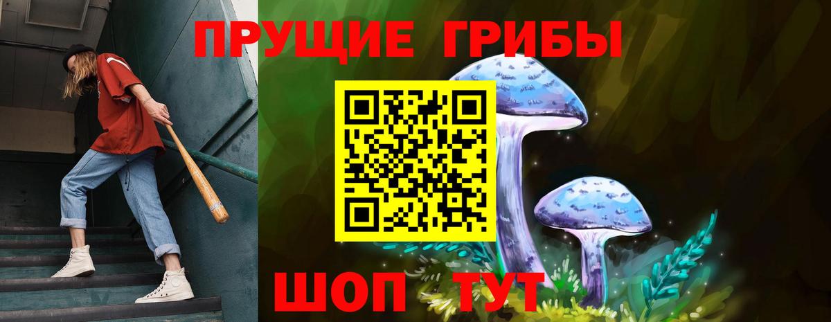 закладка  Галлюциногенные грибы мицелий  Вход с VPN  Калуга  Псилоцибиновые грибы MAGIC MUSHROOMS 