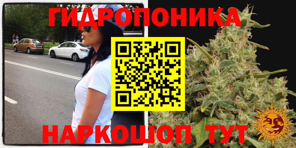 Канабис планчик Калуга